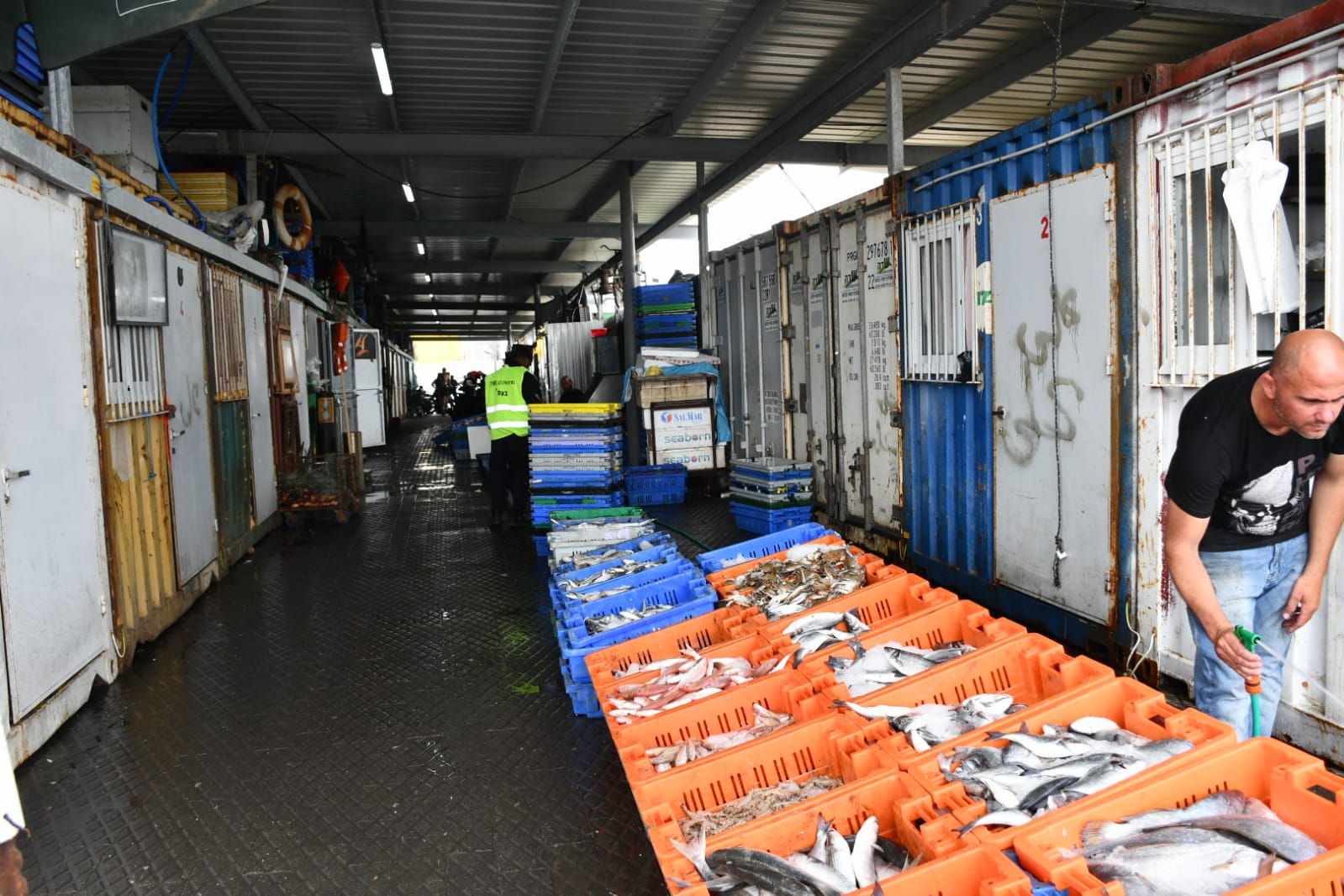 WhatsApp Image 2020-05-18 at 2.29.42 AM.jpeg.jpeg